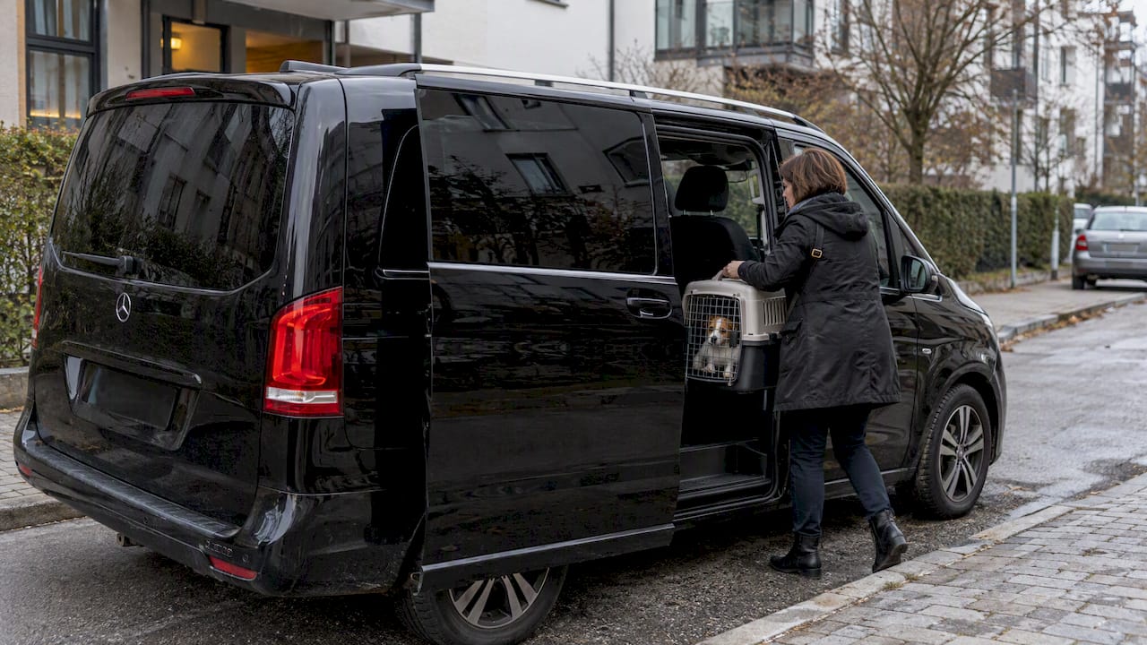 Tallinn Pet Transport: The 150 cm Rule and Private Transfers