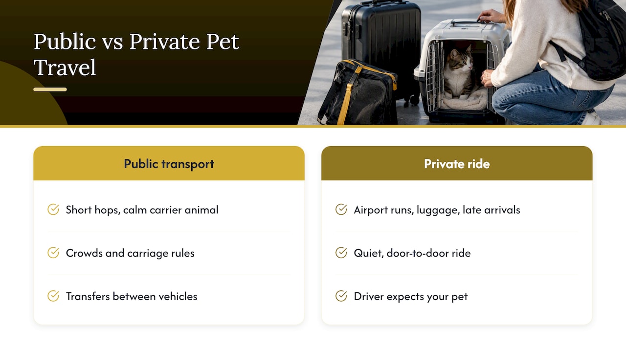 When is a private pet transfer worth it? — overview diagram